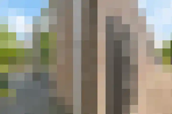 Herfst 61 Dronten thumbnail 28