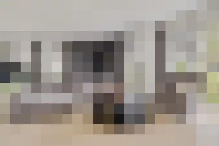 Herfst 61 Dronten foto 3