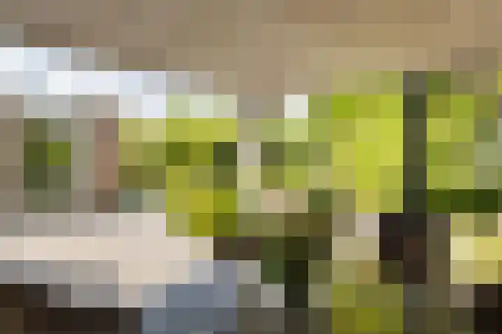 Herfst 61 Dronten thumbnail 32