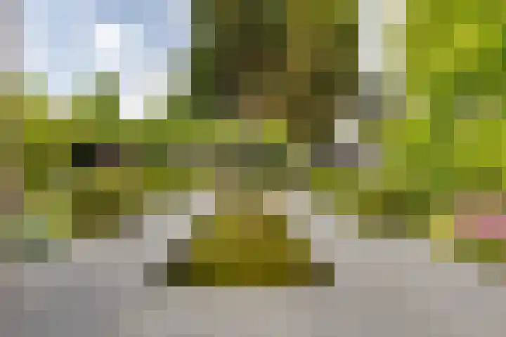 Herfst 61 Dronten thumbnail 34