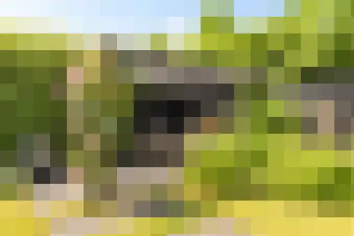 Herfst 61 Dronten thumbnail 36