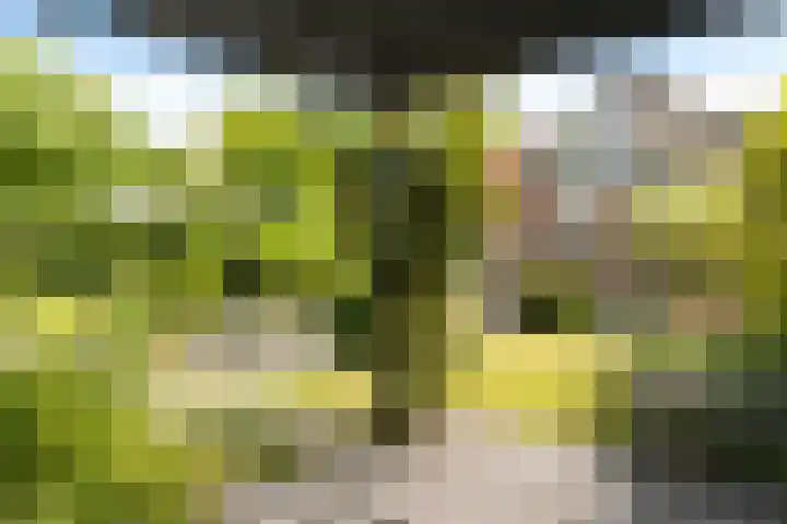 Herfst 61 Dronten thumbnail 37