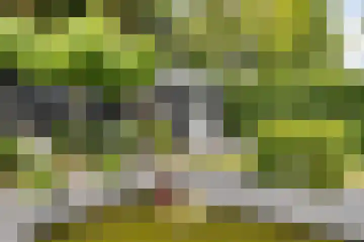 Herfst 61 Dronten thumbnail 38