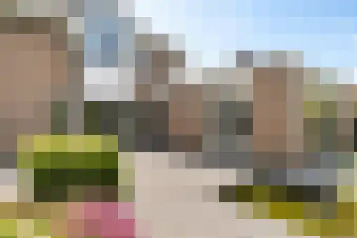Herfst 61 Dronten thumbnail 39