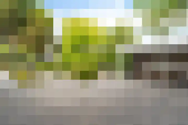 Herfst 61 Dronten thumbnail 4