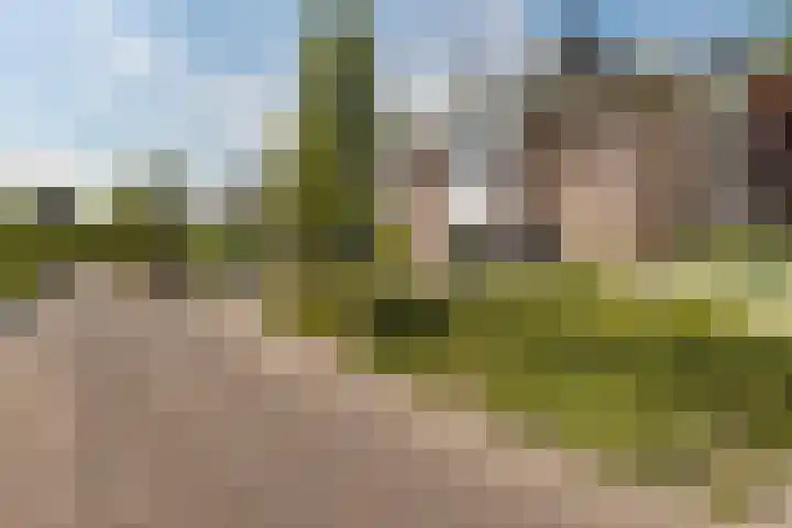 Herfst 61 Dronten thumbnail 5