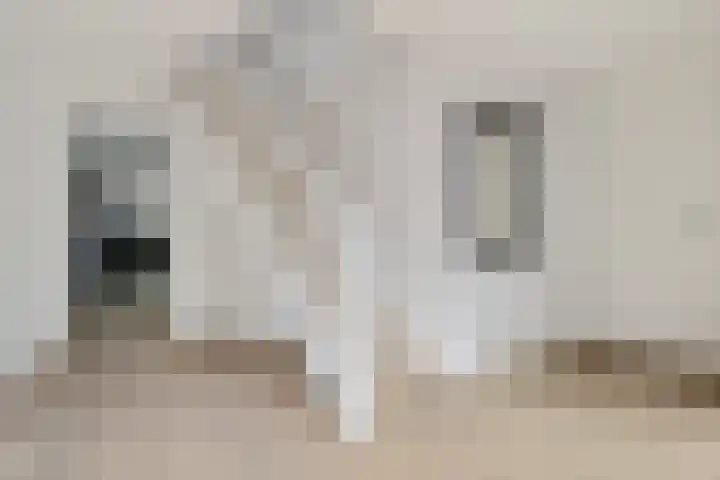 Herfst 61 Dronten thumbnail 6