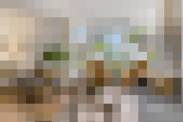 Herfsttuin 8 Barneveld thumbnail 10