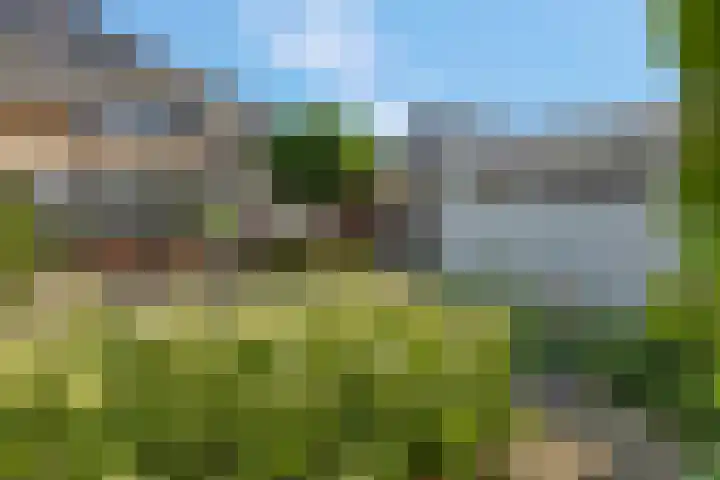 Herfsttuin 8 Barneveld thumbnail 45