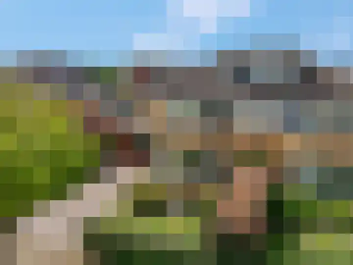 Herfsttuin 8 Barneveld thumbnail 6