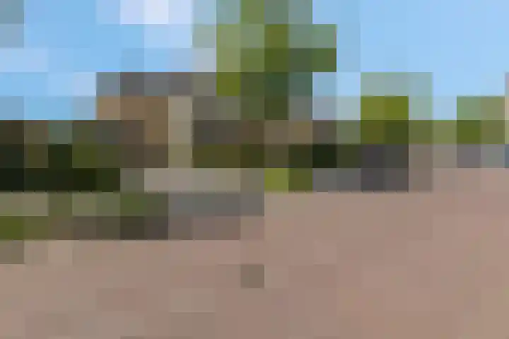 Herfsttuin 8 Barneveld thumbnail 8