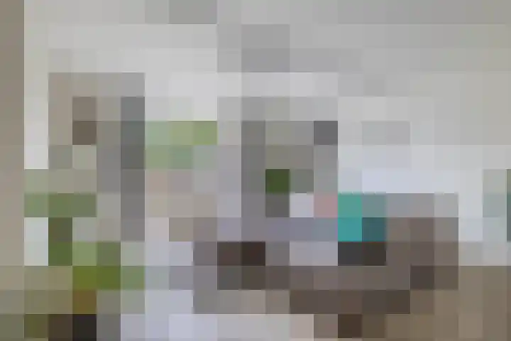 Herikerberg 32 Zoetermeer thumbnail 13