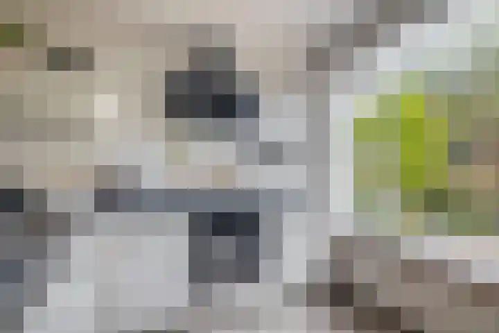 Herikerberg 32 Zoetermeer thumbnail 22