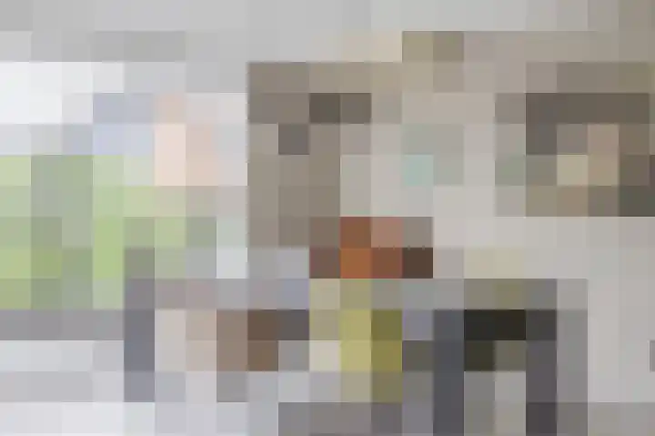 Herikkruid 14 Purmerend thumbnail 13