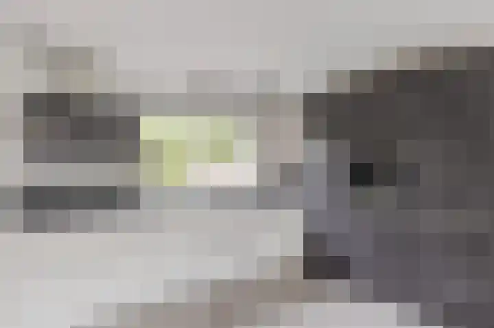 Herikkruid 14 Purmerend thumbnail 15