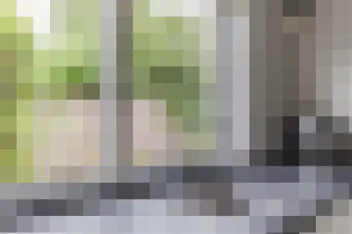 Herikkruid 14 Purmerend thumbnail 17