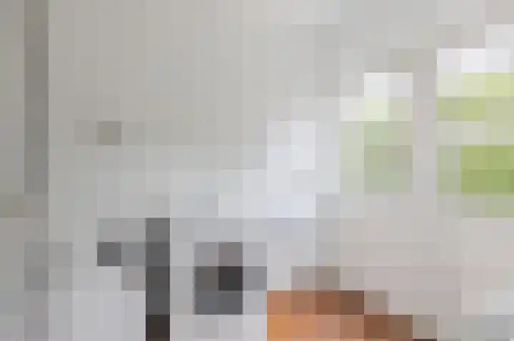 Herikkruid 14 Purmerend thumbnail 19