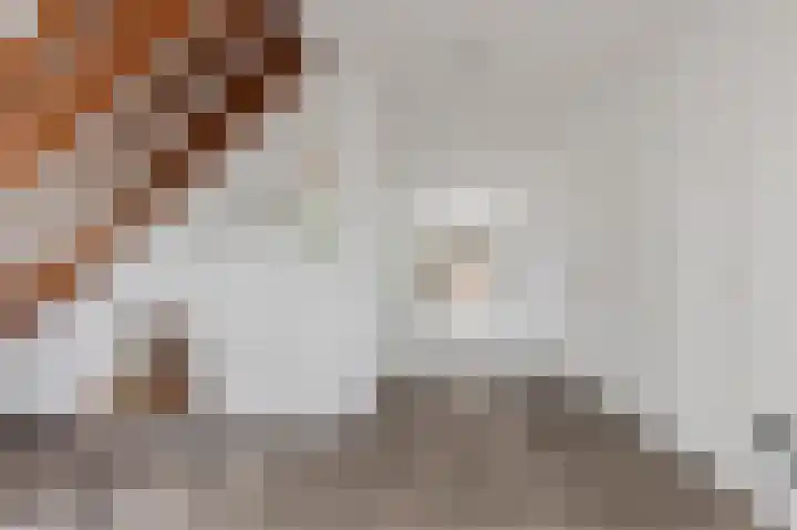 Herikkruid 14 Purmerend thumbnail 20