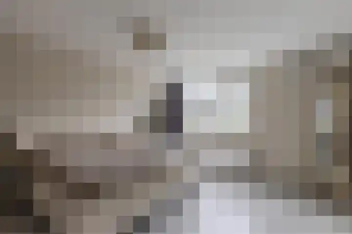 Herikkruid 14 Purmerend thumbnail 25