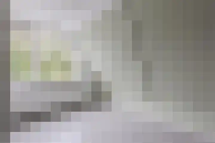 Herikkruid 14 Purmerend thumbnail 29