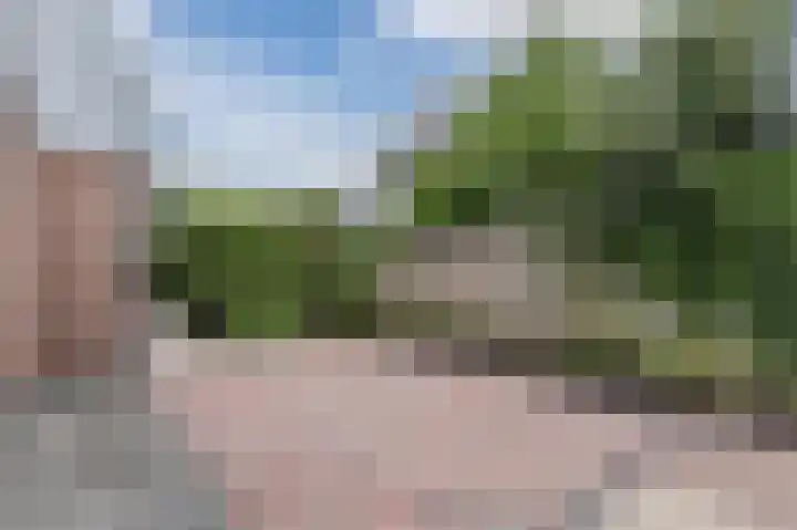 Herikkruid 14 Purmerend thumbnail 45