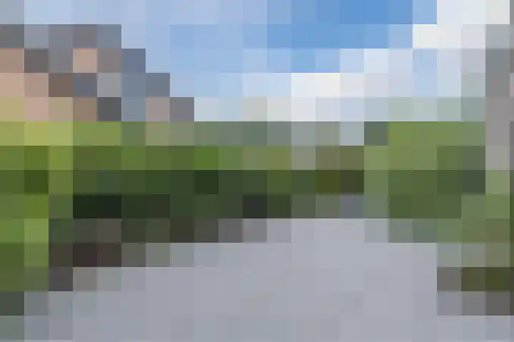 Herikkruid 14 Purmerend thumbnail 47