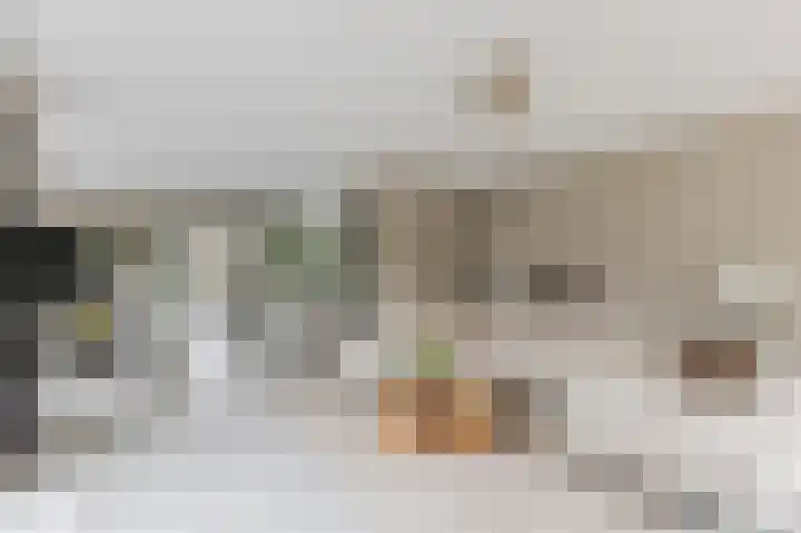 Herikkruid 14 Purmerend thumbnail 8