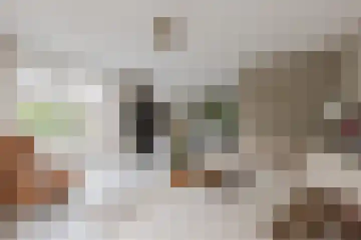 Herikkruid 14 Purmerend thumbnail 9