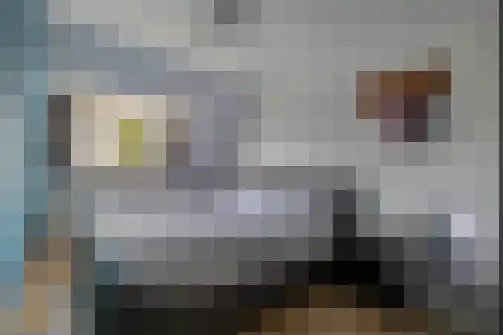 Herikstraat 32 Maasbree thumbnail 20
