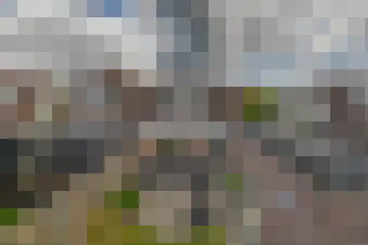 Herikstraat 32 Maasbree thumbnail 29
