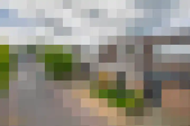 Herikstraat 32 Maasbree thumbnail 33