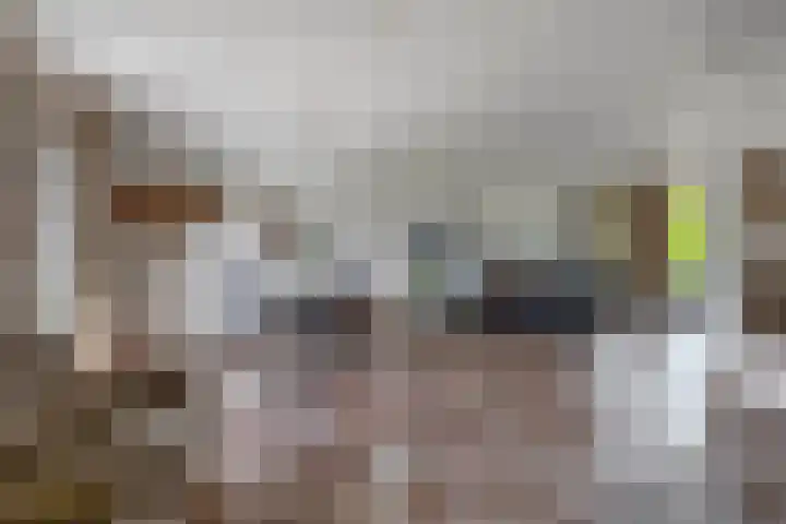 Herikstraat 32 Maasbree thumbnail 7