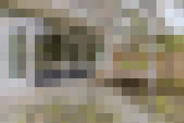 Heringa-State 36 Amsterdam thumbnail 13