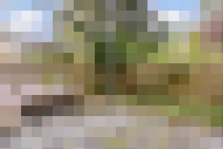 Heringa-State 36 Amsterdam thumbnail 14