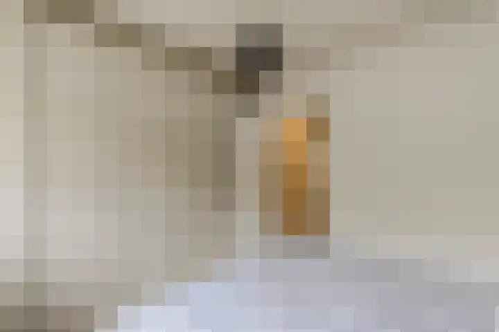 Heringa-State 36 Amsterdam thumbnail 16