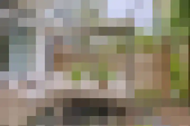 Heringa-State 36 Amsterdam thumbnail 4