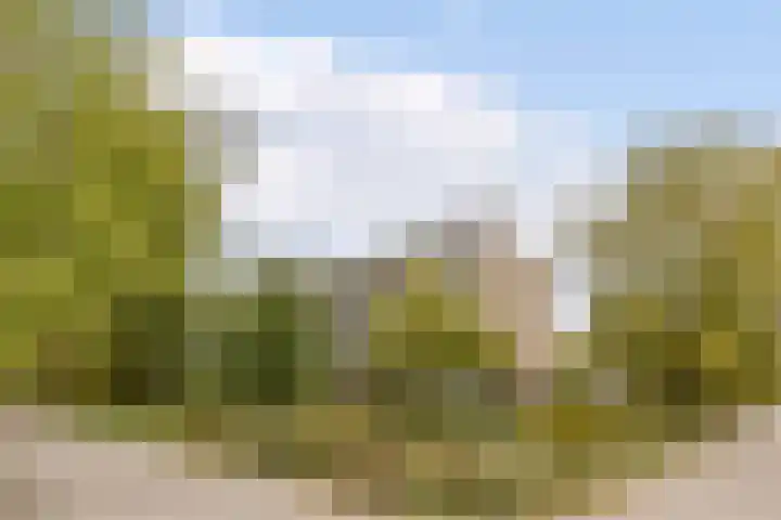 Heringa-State 36 Amsterdam thumbnail 5