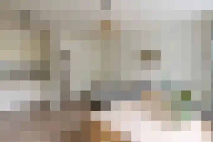Heringa-State 36 Amsterdam thumbnail 9