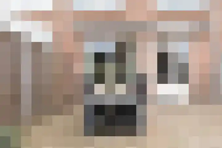 Herlaer 51 Eindhoven thumbnail 35