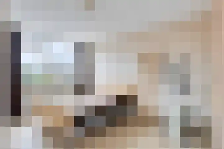Herlaer 51 Eindhoven thumbnail 5