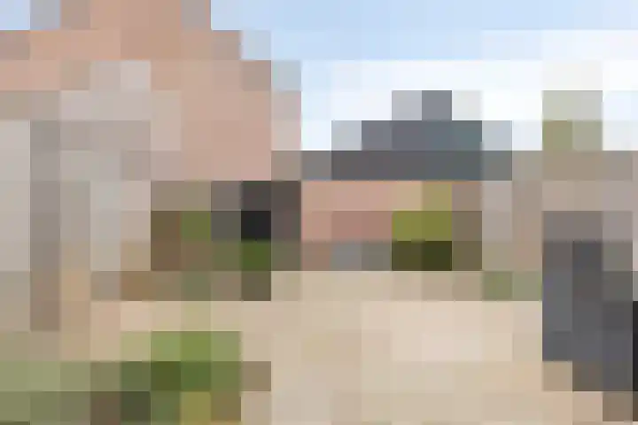 Herlaer 51 Eindhoven thumbnail 6