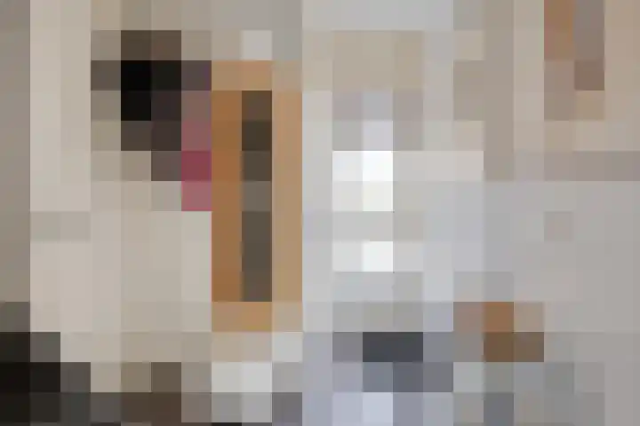 Hermaat 114 Doesburg thumbnail 10