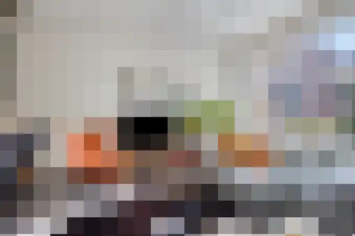 Hermaat 114 Doesburg thumbnail 14