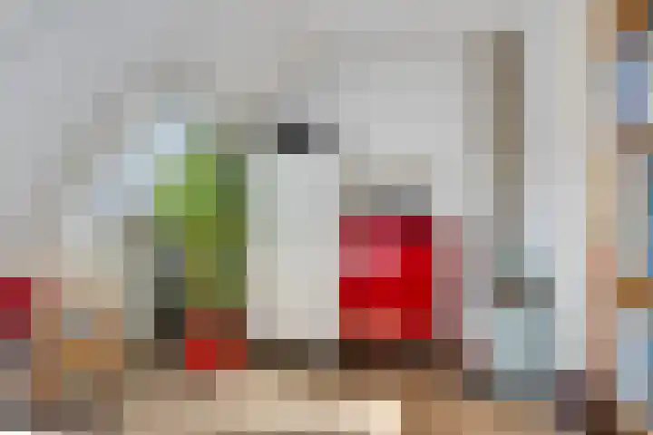 Hermaat 114 Doesburg thumbnail 27