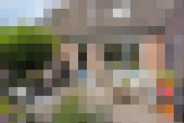 Hermaat 114 Doesburg thumbnail 40