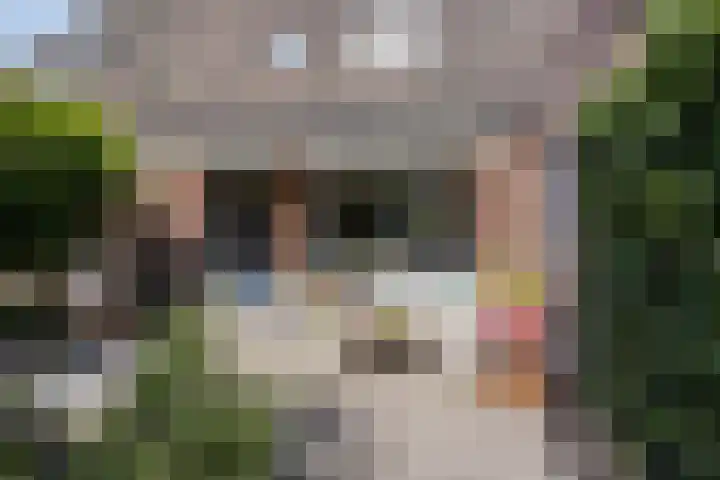 Hermaat 114 Doesburg thumbnail 42
