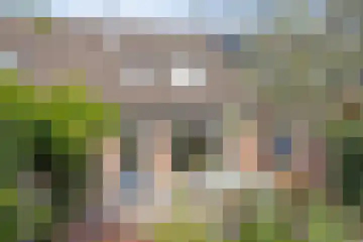 Hermaat 114 Doesburg thumbnail 43