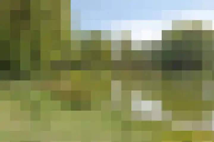 Hermaat 114 Doesburg thumbnail 51