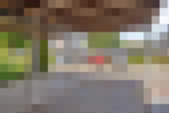 Hermaat 114 Doesburg thumbnail 8