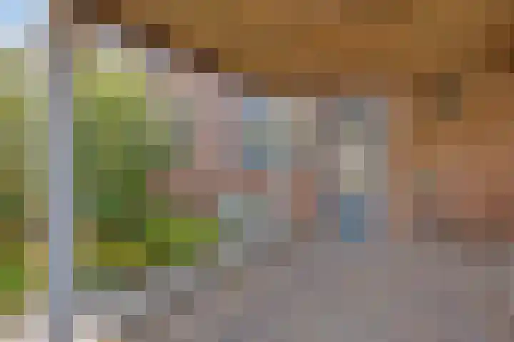Hermaat 114 Doesburg thumbnail 9